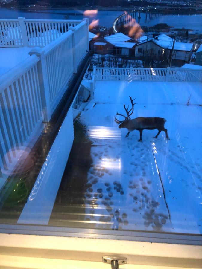 Ferienwohnung Moderne Og Trivelig Leilighet, Med Unik Utsikt Tromsø Exterior foto